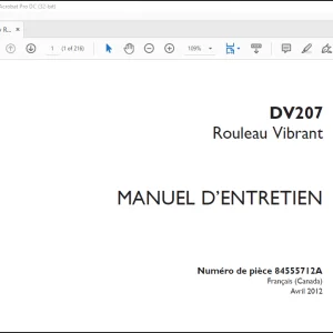 Case DV207 Rouleau Vibrant MANUEL D’ENTRETIEN(84555712A) - PDF DOWNLOAD (French)