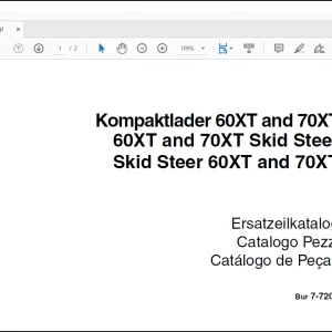 Case Skid Steer 60XT and 70XT PARTS CATALOG MANUAL(7-7200)_PT_DE_IT - PDF DOWNLOAD