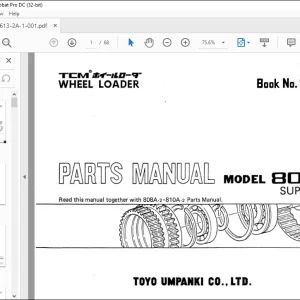 TCM DIESEL ENGINE 808A-2 SUPPLEMENT PARTS MANUAL 613-2A-1  - PDF DOWNLOAD