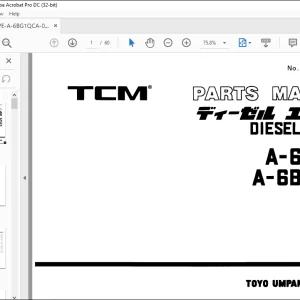 TCM DIESEL ENGINE A-6BGIQC A-6BGIQC ISUZU PARTS MANUAL  - PDF DOWNLOAD