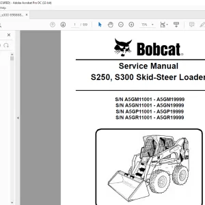 Bobcat S250, S300 Skid-Steer Loader Service Manual 6986680 (3-09) - PDF DOWNLOAD