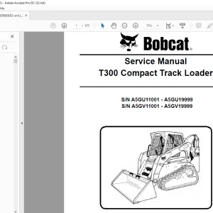 Bobcat T300 Compact Track Loader Service Manual 6986683 (3-09) - PDF DOWNLOAD