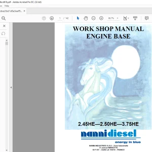Nanni Diesel Engine Base 2.45HE 2.50HE 3.75HE Workshop Manual 60300071  - PDF DOWNLOAD