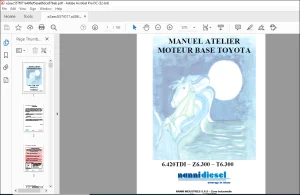 Nanni Moteur Base 6.420TDI Z6.300 T6.300 Manuel Atelier 60300201 -  PDF DOWNLOAD (French)