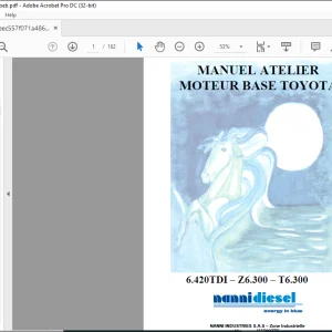 Nanni Moteur Base 6.420TDI Z6.300 T6.300 Manuel Atelier 60300201 -  PDF DOWNLOAD (French)