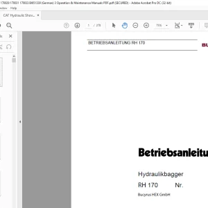 CAT Bucyrus RH 170 Hydraulikbagger Betriebsanleitung 3663750 - PDF DOWNLOAD
