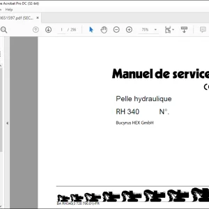 CAT Bucyrus RH 340 Pelle hydraulique MANUEL DE SERVICE BI651597  - PDF DOWNLOAD (German)
