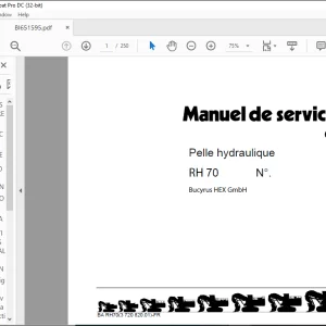 CAT Bucyrus RH 70 Pelle hydraulique MANUEL DE SERVICE BI651595 - PDF DOWNLOAD (French)
