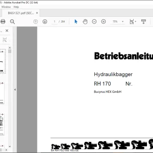 CAT Bucyrus RH170 Hydraulikbagger BETRIEBSANLEITUNG BI651321  - PDF DOWNLOAD (GERMAN)