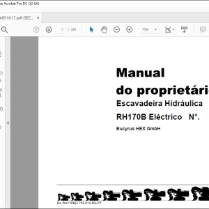 CAT Bucyrus RH170B Eléctrico MANUAL DO PROPRIETÁRIO BI651617 - PDF DOWNLOAD (Portuguese)