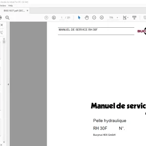 CAT Bucyrus RH30F Pelle hydraulique MANUEL DE SERVICE BI651607 - PDF DOWNLOAD (French)