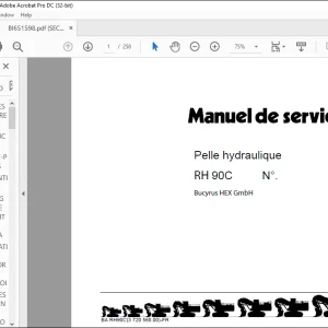 CAT Bucyrus RH90C MANUEL DE SERVICE BI651598  - PDF DOWNNLOAD (French)