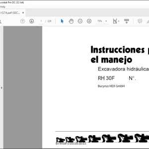 Cat Bucyrus RH30F INSTRUCCIONES PARA EL MANEJO Manual - PDF DOWNLOAD (Spanish)