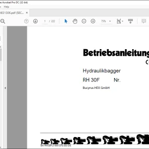 Cat Bucyrus RH 30F Hydraulikbagger BETRIEBSANLEITUNG  - PDF DOWNLOAD (German)