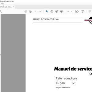 Cat Bucyrus RH 340 Pelle hydraulique MANUEL DE SERVICE BI651591  - PDF DOWNLOAD (French)