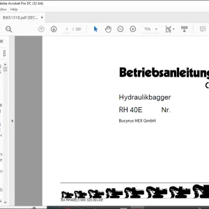 Cat Bucyrus RH 40E Hydraulikbagger BETRIEBSANLEITUNG BI651318 - PDF DOWNLOAD (German)