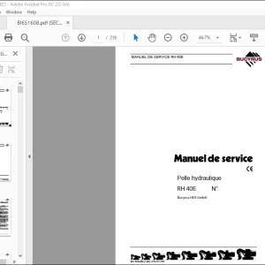 Cat Bucyrus RH 40E Pelle hydraulique MANUEL DE SERVICE BI651608  - PDF DOWNLOAD (French)