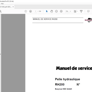 Cat Bucyrus RH200 Pelle hydraulique MANUEL DE SERVICE - PDF DOWNLOAD (French)