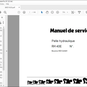 Cat Bucyrus RH40E Pelle hydraulique MANUEL DE SERVICE  - PDF DOWNLOAD (French)