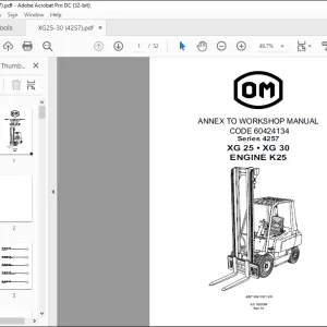 OM Series 4257 XG 25 XG 30 ENGINE K25 ANNEX TO WORKSHOP MANUAL 60424134  - PDF DOWNLOAD