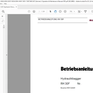 CAT Bucyrus RH 30F Hydraulikbagger Betriebsanleitung 2804300 - PDF DOWNLOAD (German)