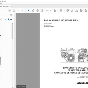 AMMANN B&S VANGUARD 160, 10V3 PETROL ENGINE PARTS MANUAL PDF