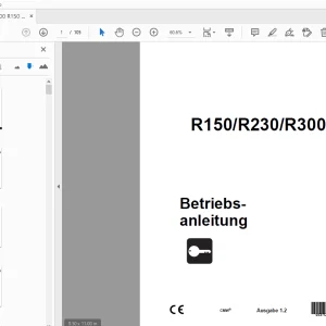 Ditch Witch R150/R230/R300 Betriebsanleitung 053-1212 PDF