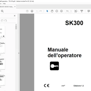 Ditch Witch SK300 Manuale dell'operatore 735-019 PDF