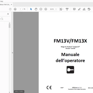 Ditch Witch FM13V/FM13X Manuale dell’operatore 053-1315 (I) PDF