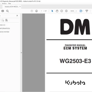 Kubota ECM System WG2503-E3 Diagnostic Manual
