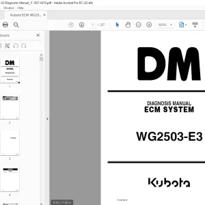 Kubota ECM System WG2503-E3 Diagnostic Manual F-1027-0219