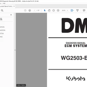 Landoll Bendi Forklift Kubota WG2503-E3 ECM System Diagnostic Manual