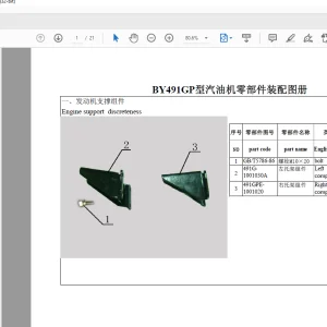 Xinchai Forklift 491GP Parts Manual- PDF DOWNLOAD