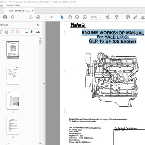 Yale Forklift A810 (GLPGDP16-20AFBF Europe) D5 Engine Service Manual PDF