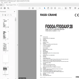 Fassi Crane F1100AXP.28 Use and Maintenance Manual - PDF DOWNLOAD