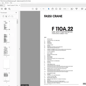 Fassi Cranes F110A.22 Use and Maintenance Manual - PDF DOWNLOAD