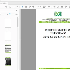 MERLO P25.6 INTERNE EINGRIFFE AM TELESKOPARM SERVICE-BETRIEBSANLEITUNG - PDF