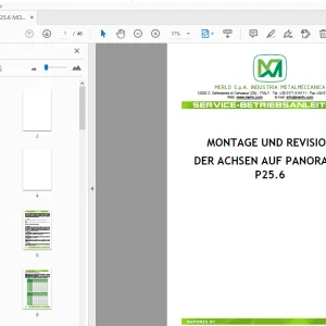 MERLO P25.6 MONTAGE UND REVISION DER ACHSEN AUF PANORAMIC SERVICE-BETRIEBSANLEITUNG - PDF