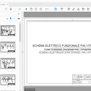 MERLO P40.17/P38/P60 CDC V3 FUNCTIONNING DIAGRAM 2017 - PDF