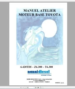 Nanni Diesel Marine Engine Workshop Manual - Complete Set - PDF DOWNLOAD