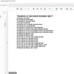 Tadano Cargo Crane TM-M300 41106120020 BOOM3 SECT. Parts Manual - PDF DOWNLOAD