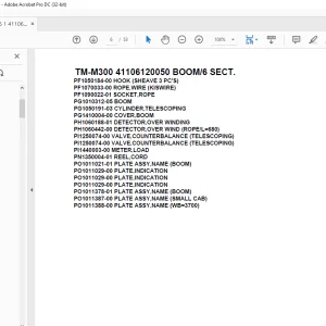 Tadano Cargo Crane TM-M300 41106120050 BOOM6 SECT.Parts Manual - PDF DOWNLOAD
