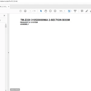 Tadano Cargo Crane TM-Z220 31052000096A 2-SECTION BOOM Parts Manual - PDF
