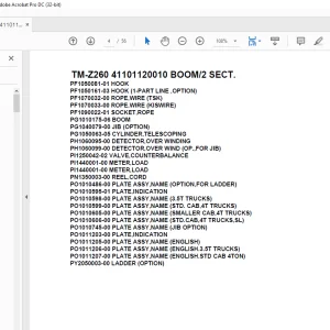 Tadano Cargo Crane TM-Z260 41101120010 BOOM/2 SECT.Parts Manual - PDF DOWNLOAD