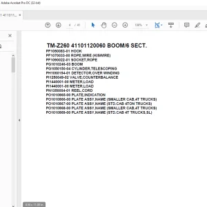 Tadano Cargo Crane TM-Z260 41101120060 BOOM/6 SECT.Parts Manual - PDF DOWNLOAD