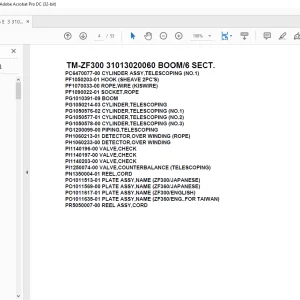 Tadano Cargo Crane TM-ZF300 31013020060 BOOM/6 SECT.Parts Manual - PDF DOWNLOAD