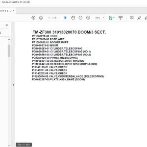 Tadano Cargo Crane TM-ZF300 31013020070 BOOM/3 SECT. Parts Manual - PDF DOWNLOAD