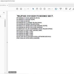 Tadano Cargo Crane TM-ZF300 31013020170 BOOM2 SECT. Parts Manual - PDF DOWNLOAD