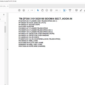 Tadano Cargo Crane TM-ZF300 31013020180 BOOM/4 SECT.,HOOK-IN Parts Manual - PDF DOWNLOAD