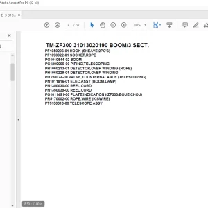 Tadano Cargo Crane TM-ZF300 31013020190 BOOM/3 SECT. Parts Manual - PDF DOWNLOAD